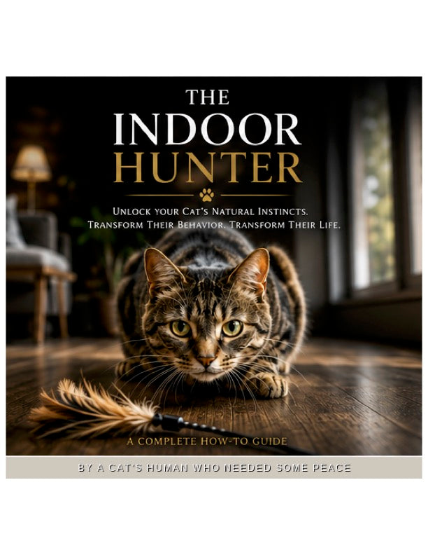 The Indoor Hunter: Unlock Your Cat's Natural Instincts. Transform Their Behavior. Transform Their Life.